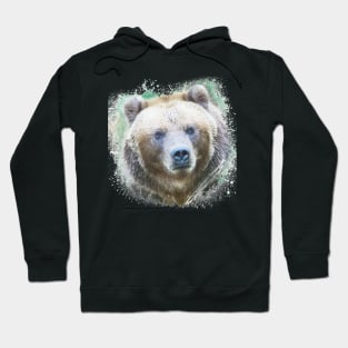 Brown Bear Grizzly Animal Wild Life Jungle Nature Free Adventure Watercolor Hoodie